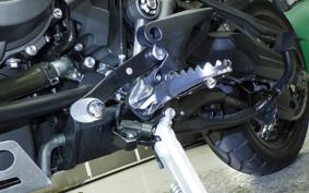 TRIUMPH TIGER 800 2019