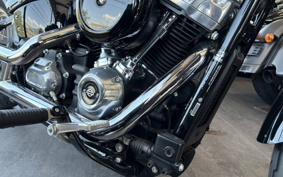 HARLEY FXST1340-1450 2020 BVJ