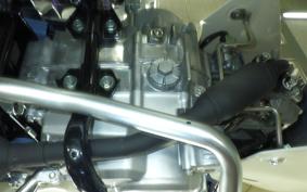 HONDA C50 SUPER CUB AA09