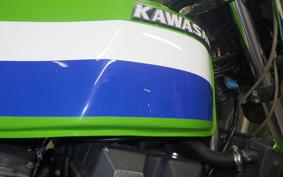 KAWASAKI ZRX400 1996 ZR400E