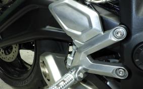 TRIUMPH TRIDENT 660 2025