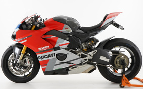 DUCATI PANIGA-REV4S CORSE 2019