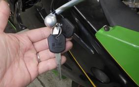 KAWASAKI NINJA 250R 2015 EX250K