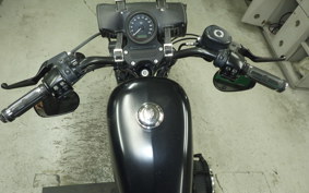 HARLEY XL883N 2015