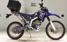 YAMAHA WR250R 2019 DG15J
