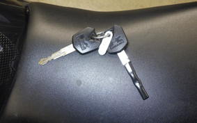 KAWASAKI NINJA 250 EX250L