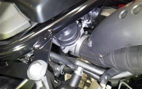 MOTO GUZZI V7 STONE 2023