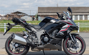 KAWASAKI NINJA 1000 SX 2024 ZXT02K