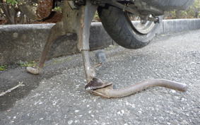 YAMAHA JOG Gen.1 2024 3KJ