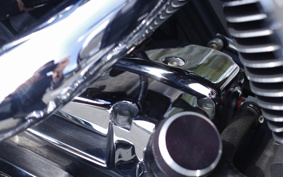HARLEY FXDL 100th 2002 GDV