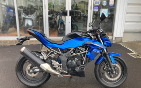 KAWASAKI Z250 SL BR250E