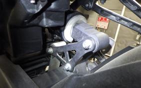 KAWASAKI Z900RS CAFE 2024 ZR900K