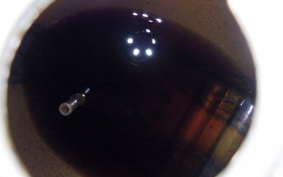 HONDA C65 SUPER CUB C65