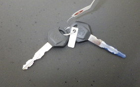 YAMAHA CYGNUSRAYZRﾊEVEﾘｯﾄﾞ