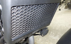 HONDA REBEL 250 2019 MC49