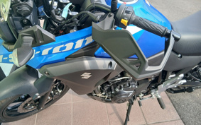SUZUKI STROM 250 DS11A