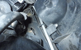 HONDA LEAD 110 2025 JF19