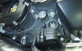 YAMAHA MT-09 2015 RN34J