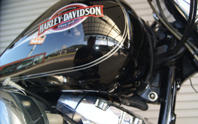 HARLEY FLSTC 2005 BJY