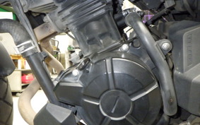 KAWASAKI VERSYS X250Aﾂｱﾗｰ LE250D