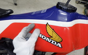 HONDA TLR200 2024 MD09