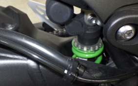 KAWASAKI NINJA ZX-6R A 2021 ZX636G