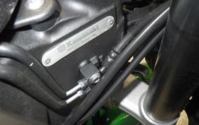 KAWASAKI NINJA 1000 SX 2023 ZXT02K