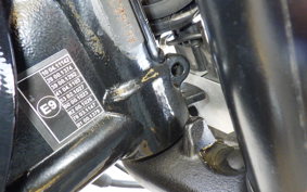 TRIUMPH BONNEVILLE T100 2020