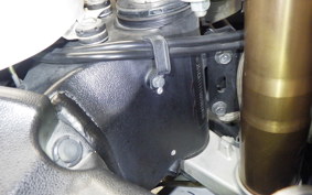 SUZUKI HAYABUSA Gen.2 2009