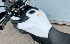SUZUKI DL650 ( V-Strom 650 ) 2021 C733A