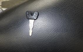 YAMAHA VIRAGO 250 2018 3DM