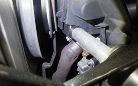 KAWASAKI ZX 1400 NINJA R A 2019