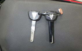 KAWASAKI NINJA 250 2006 EX250Y