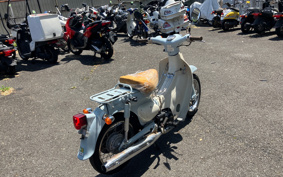 HONDA LITTLE CUB AA01