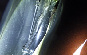 HONDA TACT-4ﾍﾞｰｼｯｸ 2018 AF75