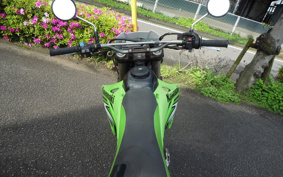 KAWASAKI KLX250 LX250E