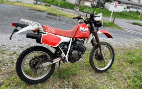 HONDA XLR250 BAJA MD22