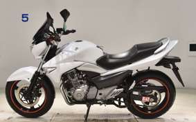 SUZUKI GSR250