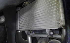HONDA CBR250R A 2024 MC41
