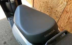 HONDA MANY CTOR AF79