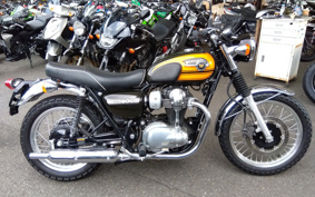 KAWASAKI W800 FE 2020 EJ800A