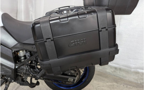 SUZUKI DL650 ( V-Strom 650 ) 2019 C733A