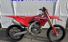 HONDA CRF250 RALLY