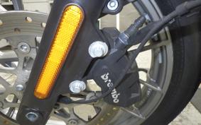HARLEY RH975S 2024