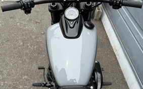 HARLEY  HARLEY FXFBS 2024 YLK