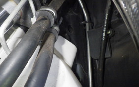 HONDA LEAD 110 JF19