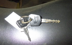 KAWASAKI NINJA 250 EX250L