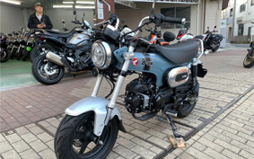 HONDA  DUX 125 JB04