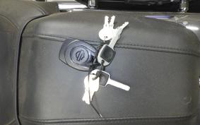 HARLEY FLSTFI1920 2025