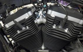 HARLEY XL883N 2013